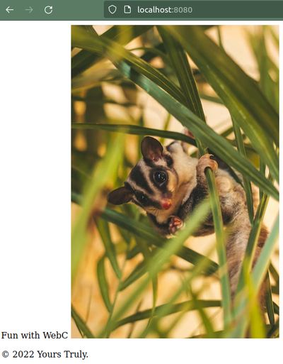 screenshot of the output in the browser, same text as before, with a picture of a possum taking quite a bit of room on the page