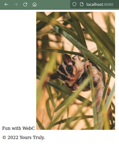 screenshot of the output in the browser, the image now takes 300px