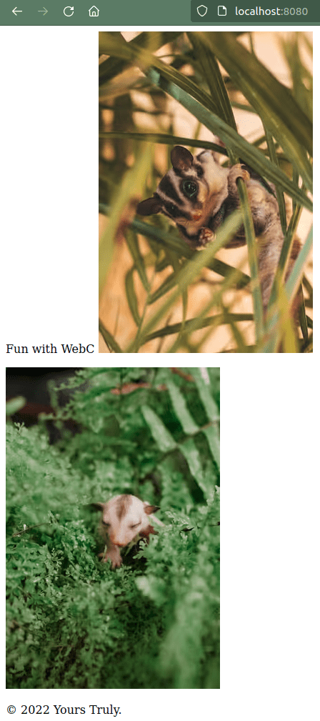 same screenshot of the output in the browser, with an additional possum picture, rendered from the Markdown template above